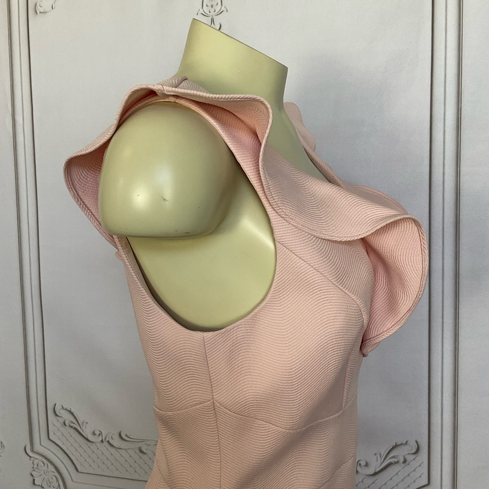 Ever New Melbourne Baby Pink Ruffled Bodycon Fully Lined Dress Women’s Size 8 - Picture 4 of 8